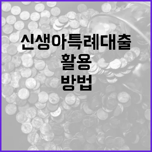 신생아 특례대출을 이해하고 활용하는 방법 - 요약