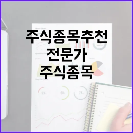 주식종목 추천을 받는 방법: 전문가의 조언을 활용하는 법 - 요약