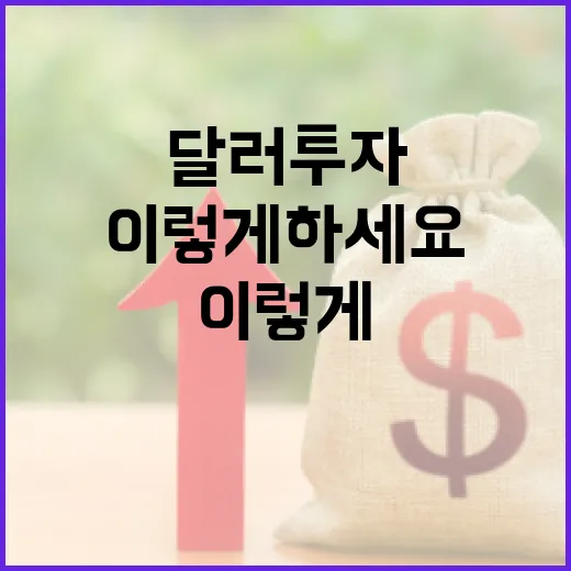 달러투자를 시작하려면 이렇게 하세요 - 요약