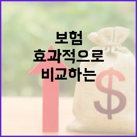 효과적으로 보험을 비교하는 방법 - 요약