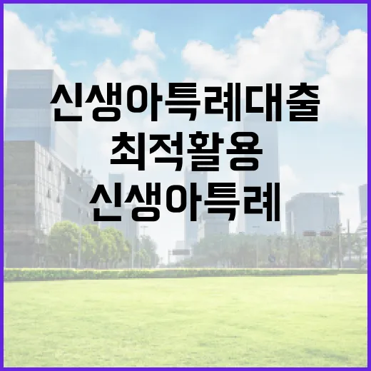 신생아 특례대출을 이해하고 최적 활용하는 방법 - 요약
