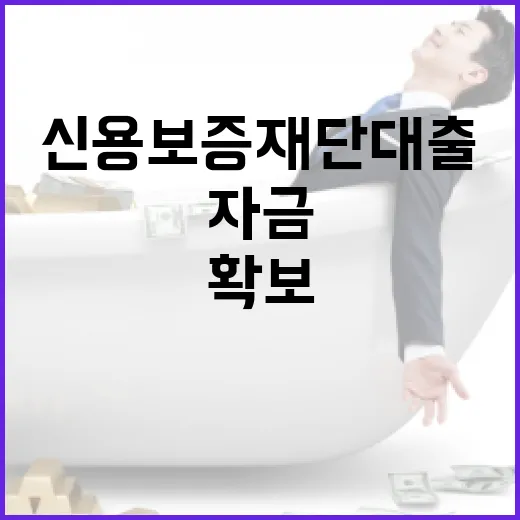 신용보증재단대출을 활용하여 자금을 확보하는 방법 - 요약