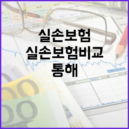 실손보험비교를 통해 최적의 보험 선택하는 방법 - 요약
