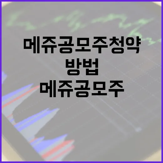 메쥬 공모주 청약에 성공하는 방법 - 요약