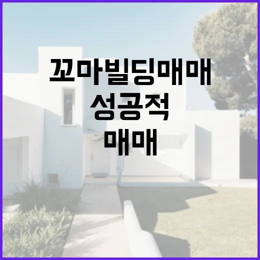 꼬마빌딩 매매를 성공적으로 하는 방법 - 요약