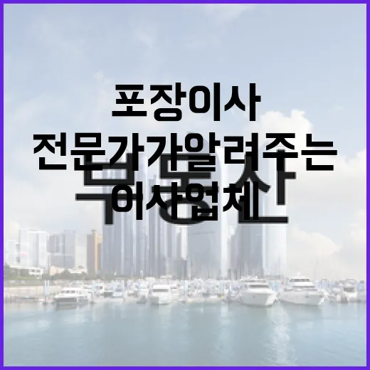 포장이사업체를 선택하는 방법: 전문가가 알려주는 팁 - 요약