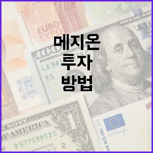 메지온에 투자하는 방법: 전문가의 팁 - 요약