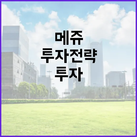 메쥬 투자 전략을 세우는 방법 - 요약