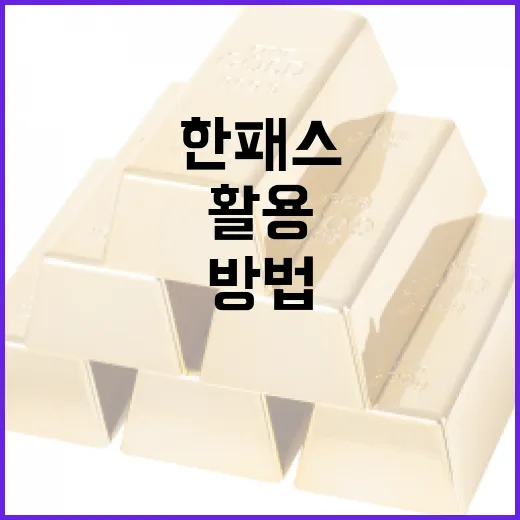 한패스를 활용하여 금융 거래를 최적화하는 방법 - 요약
