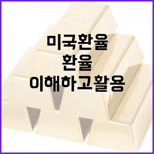 미국 환율을 이해하고 활용하는 방법 - 요약