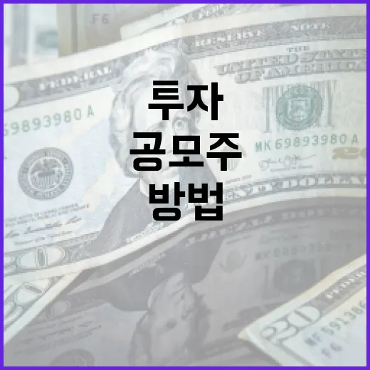 메쥬 공모주에 투자하는 방법 - 요약
