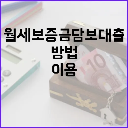 월세보증금담보대출을 효과적으로 이용하는 방법 - 요약