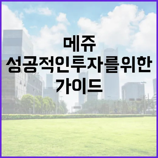 메쥬 공모주 투자하는 방법: 성공적인 투자를 위한 가이드 - 요약