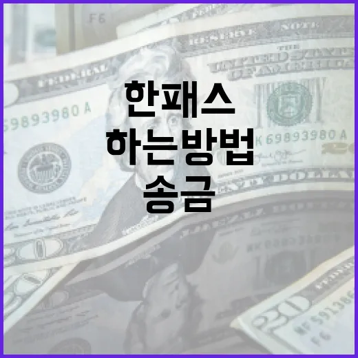 한패스를 통해 국제 송금을 효율적으로 하는 방법 - 요약