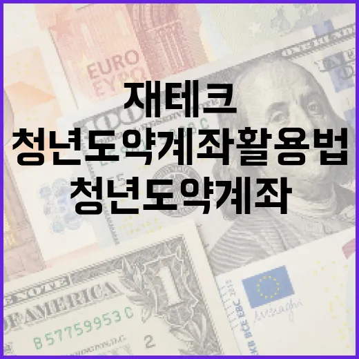 청년도약계좌 활용법: 재테크를 시작하려면 이렇게 - 요약