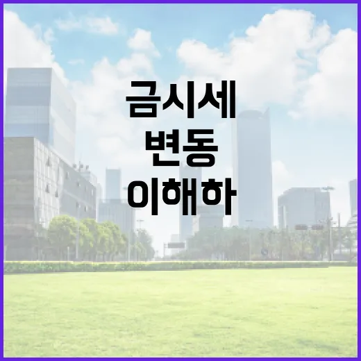 금시세 변동을 이해하고 활용하는 방법 - 요약