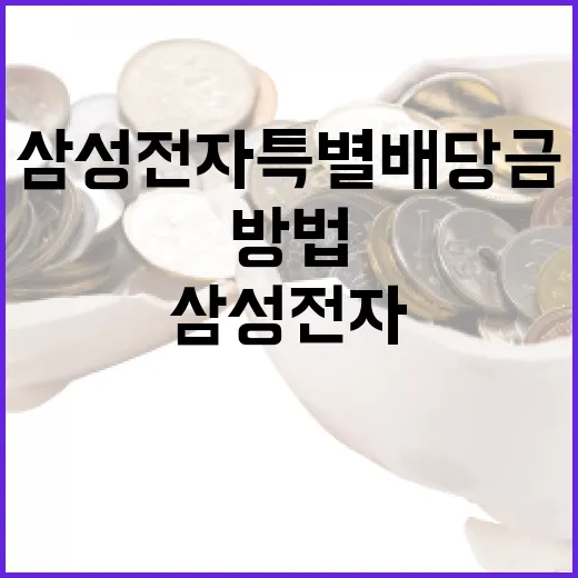 삼성전자 특별배당금을 이해하고 활용하는 방법 - 요약