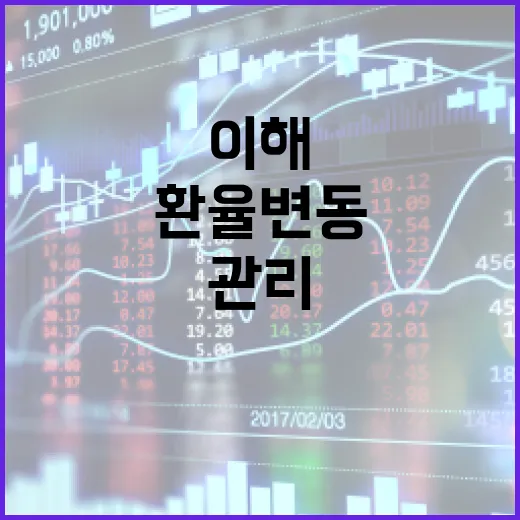 미국 환율 변동을 이해하고 관리하는 방법 - 요약