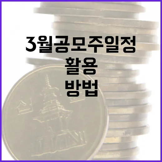 3월 공모주 일정을 효과적으로 활용하는 방법 - 요약