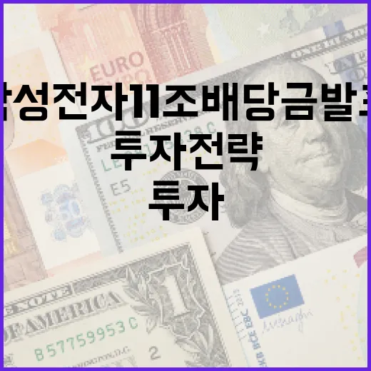 삼성전자 11조 배당금 발표에 대한 투자 전략 - 요약