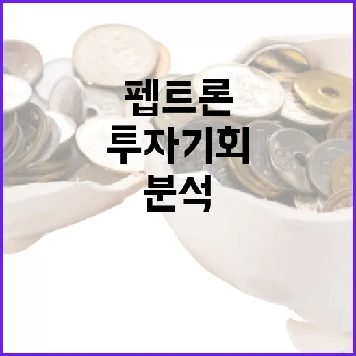 펩트론의 투자 기회를 분석하는 방법 - 요약