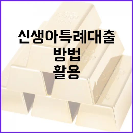 신생아 특례대출을 활용하는 방법 - 요약