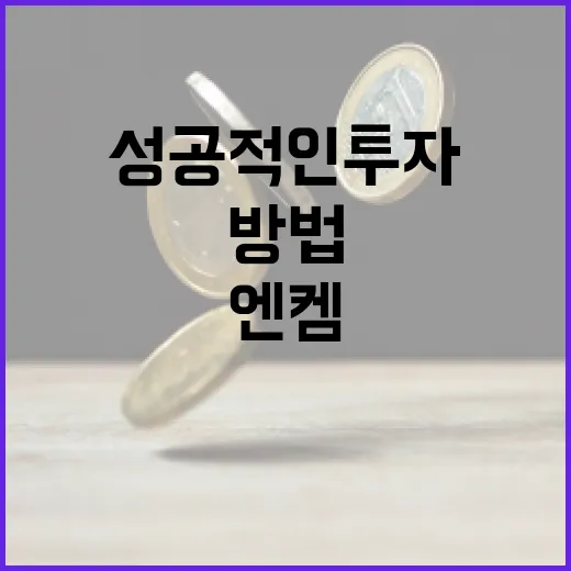 엔켐 투자 분석 및 성공적인 투자 방법 - 요약