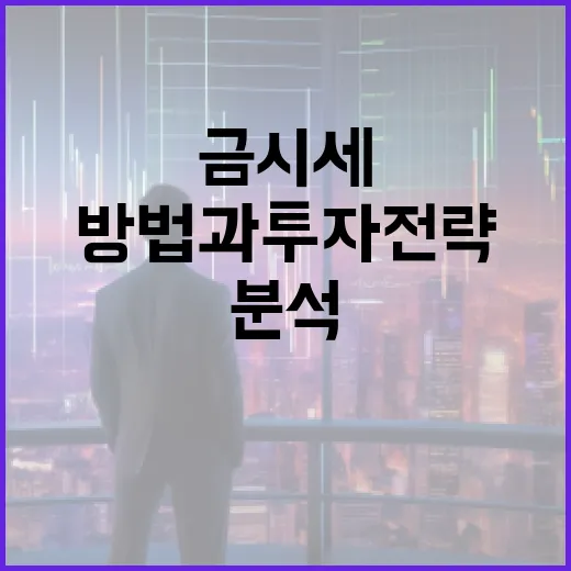 금시세 분석 방법과 투자 전략 - 요약