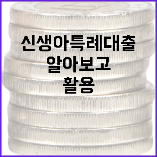 신생아 특례대출을 알아보고 활용하는 방법 - 요약