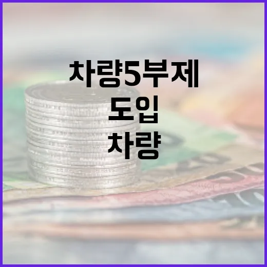 차량 5부제 이해하기: 효과와 도입 방법 - 요약