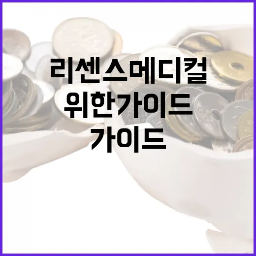 리센스메디컬을 이해하는 방법: 초보자를 위한 가이드 - 요약