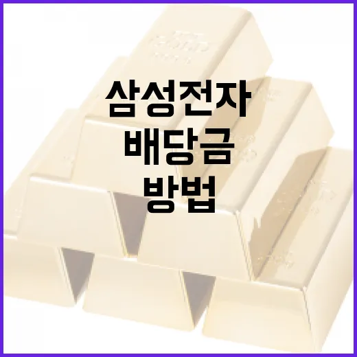 삼성전자 배당금을 최대한 활용하는 방법 - 요약