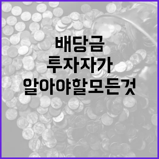 삼성전자 배당금 이해하기: 투자자가 알아야 할 모든 것 - 요약