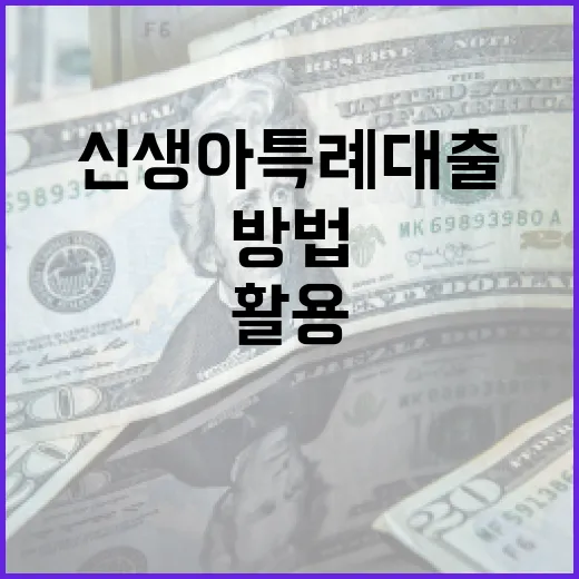 신생아 특례대출을 활용하는 방법 - 요약