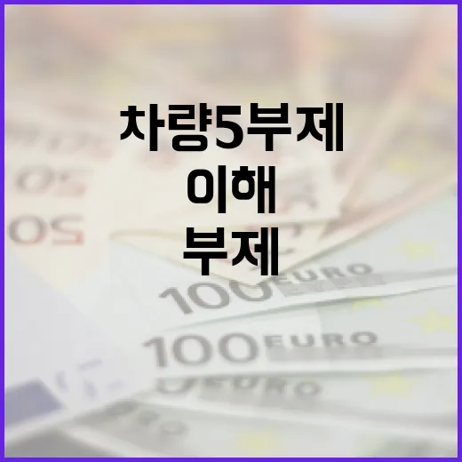 차량5부제를 이해하고 효과적으로 활용하는 방법 - 요약