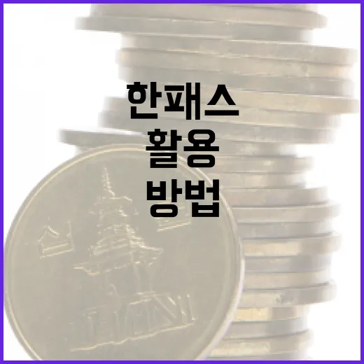 한패스를 활용하여 금융 거래를 최적화하는 방법 - 요약