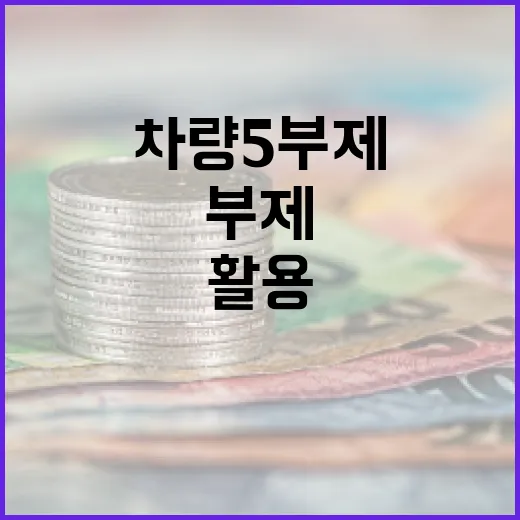 차량5부제를 효과적으로 활용하는 방법 - 요약