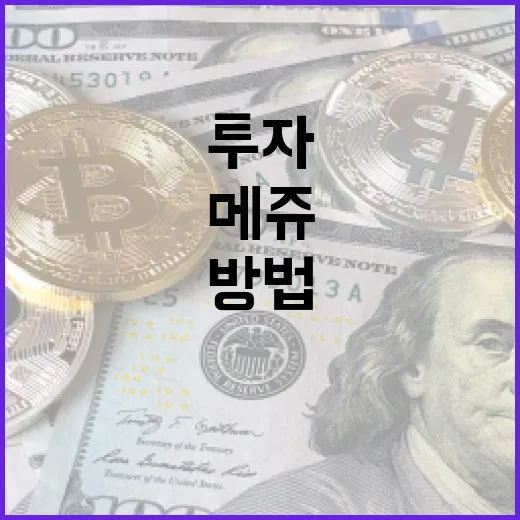 메쥬를 활용하여 투자 포트폴리오를 최적화하는 방법 - 요약