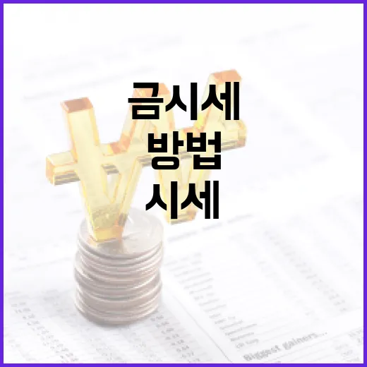 금시세를 분석하고 이해하는 방법 - 요약