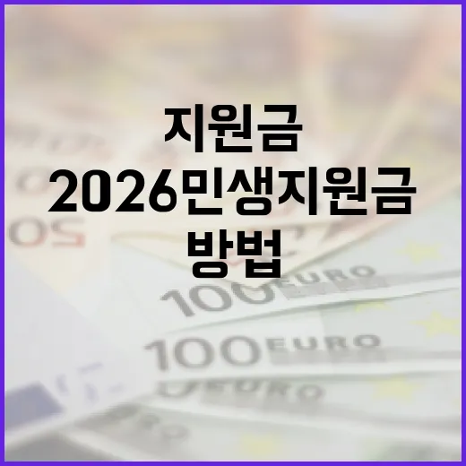 2026 민생지원금을 효과적으로 활용하는 방법 - 요약