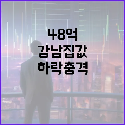 강남 집값 48억 하락 충격에 대처하는 방법 - 요약