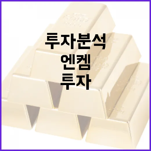 엔켐 투자 분석과 전략을 세우는 방법 - 요약