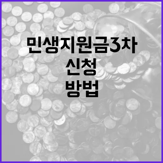 민생지원금 3차를 효과적으로 신청하는 방법 - 요약