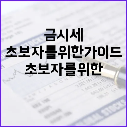 금시세를 이해하는 방법: 초보자를 위한 가이드 - 요약