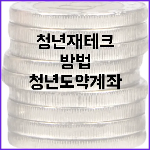 청년도약계좌를 활용하는 방법: 청년 재테크의 첫걸음 - 요약