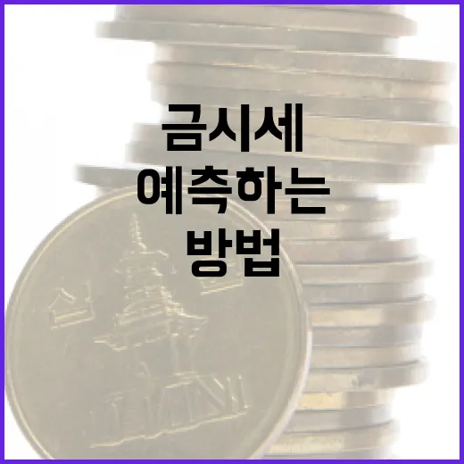 금시세를 이해하고 예측하는 방법 - 요약