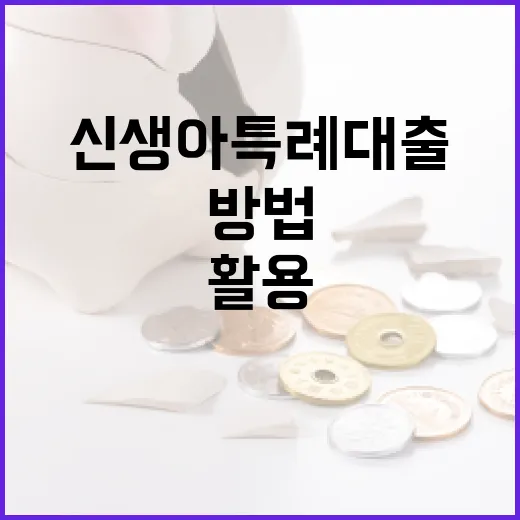 신생아 특례대출을 활용하는 방법 - 요약