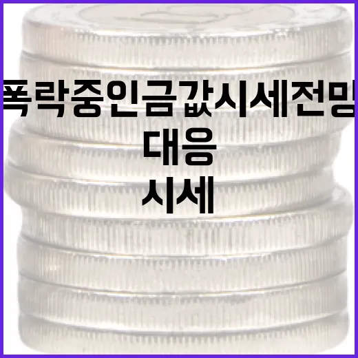 폭락 중인 금값 시세 전망을 이해하고 대응하는 방법 - 요약