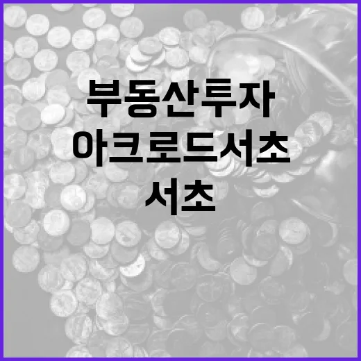 아크로드서초를 통한 성공적인 부동산 투자 방법 - 요약