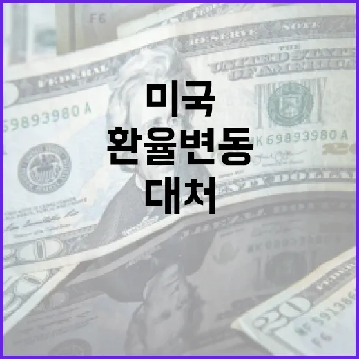 미국 환율 변동을 이해하고 대처하는 방법 - 요약